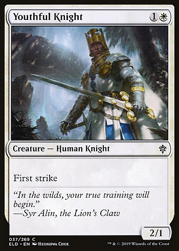 Youthful Knight