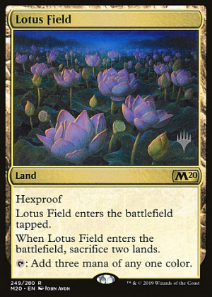 Lotus Field