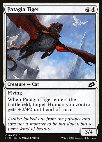 Patagia Tiger