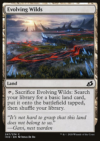 Evolving Wilds