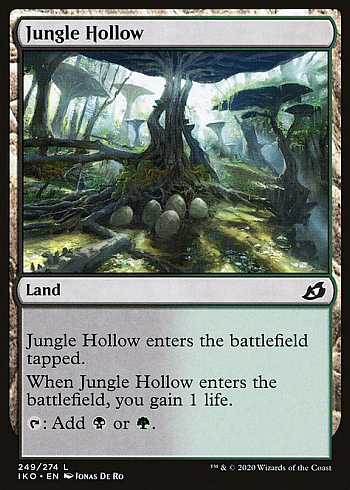Jungle Hollow