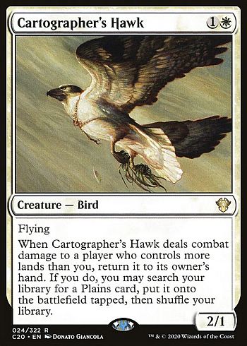 Cartographer's Hawk