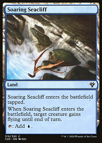 Soaring Seacliff