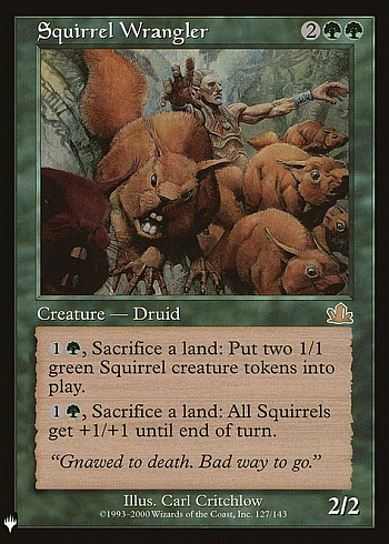 Squirrel Wrangler