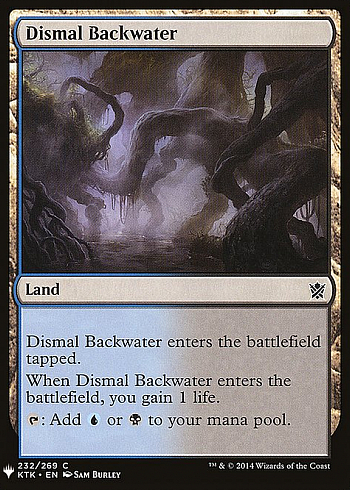 Dismal Backwater