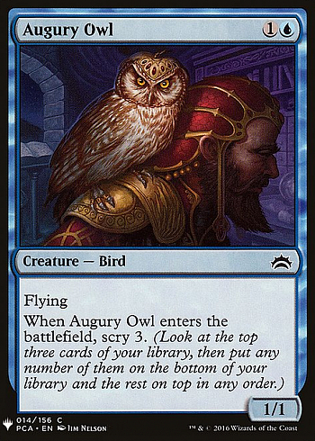 Augury Owl