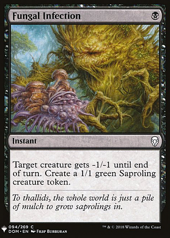 Fungal Infection