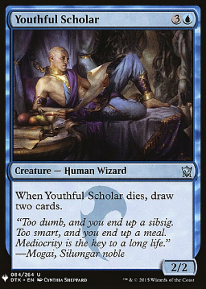 Youthful Scholar