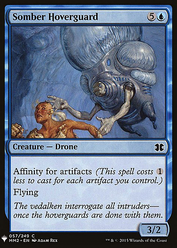 Somber Hoverguard