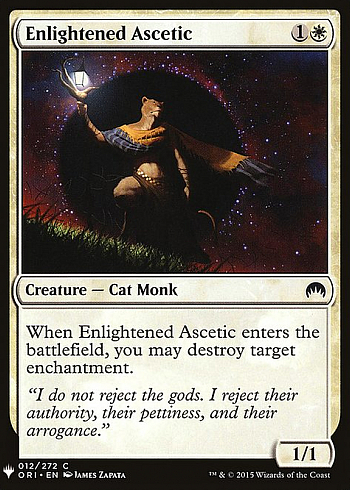 Enlightened Ascetic