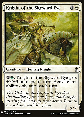 Knight of the Skyward Eye