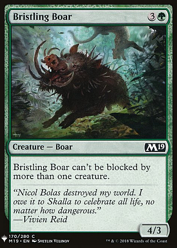 Bristling Boar