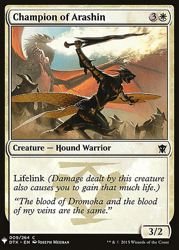 Champion of Arashin