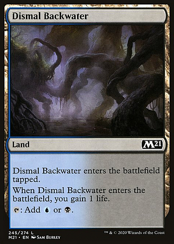 Dismal Backwater