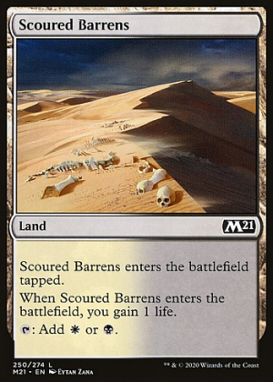 Scoured Barrens
