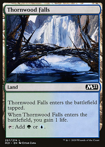 Thornwood Falls