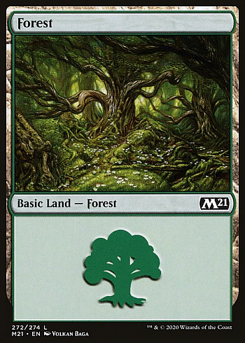 Forest