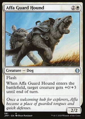 Affa Guard Hound