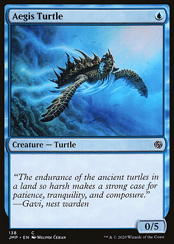 Aegis Turtle