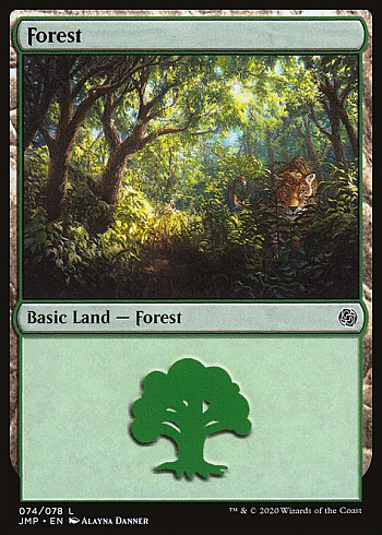 Forest
