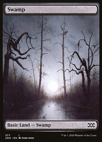 Swamp