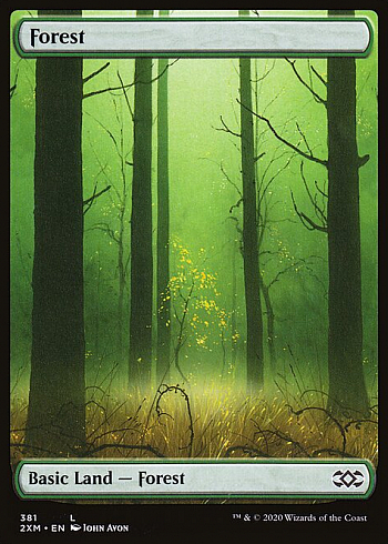 Forest