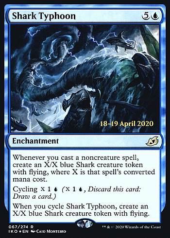 Shark Typhoon