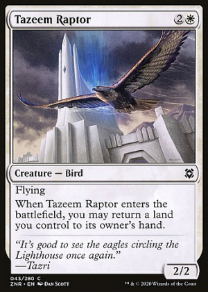 Tazeem Raptor