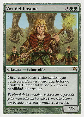 Voice of the Woods