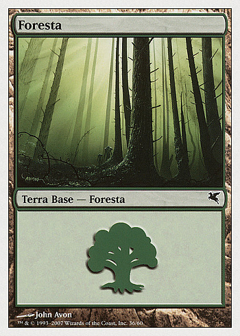 Forest