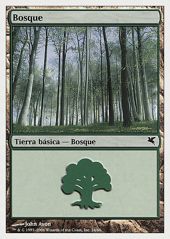 Forest