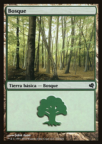 Forest
