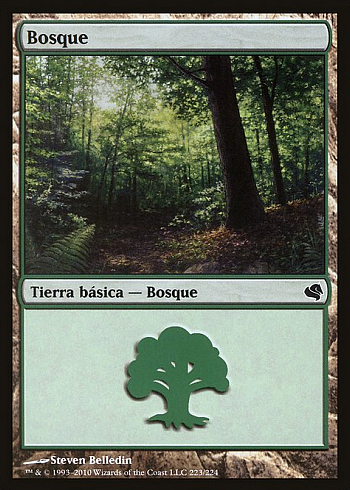 Forest