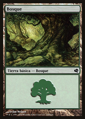 Forest