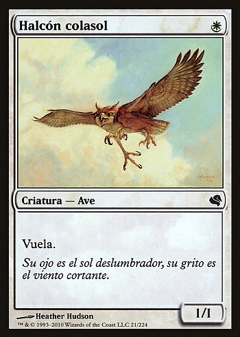 Suntail Hawk
