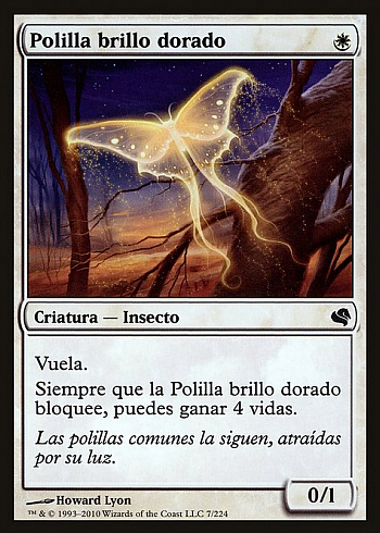 Goldenglow Moth