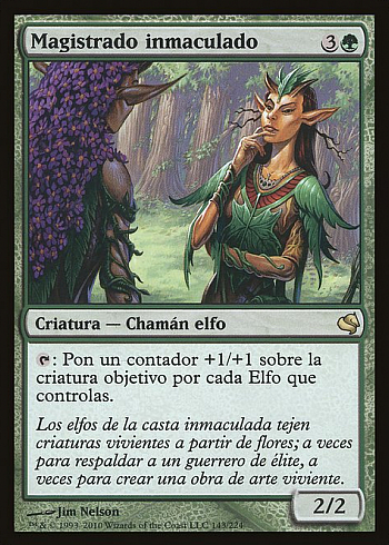 Immaculate Magistrate