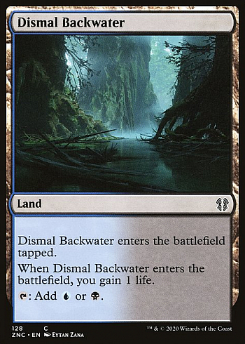 Dismal Backwater
