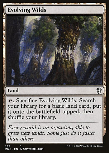 Evolving Wilds