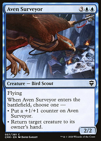 Aven Surveyor