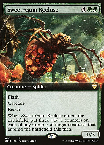 Sweet-Gum Recluse