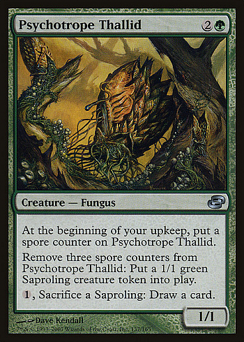 Psychotrope Thallid