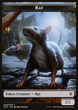 Rat