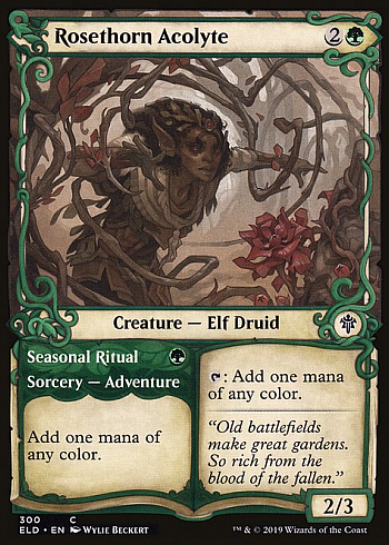 Rosethorn Acolyte // Seasonal Ritual