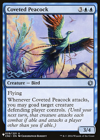 Coveted Peacock