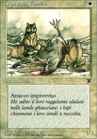 Tundra Wolves