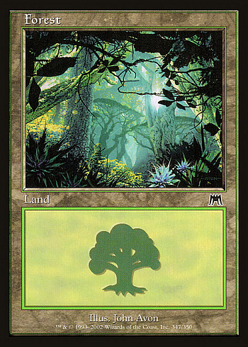 Forest