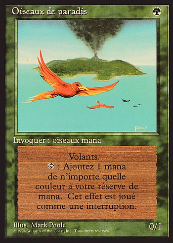 Birds of Paradise