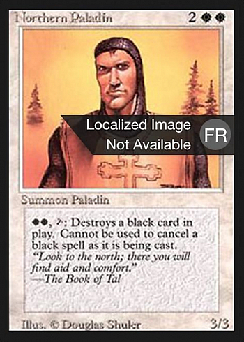 Northern Paladin