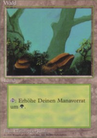 Forest